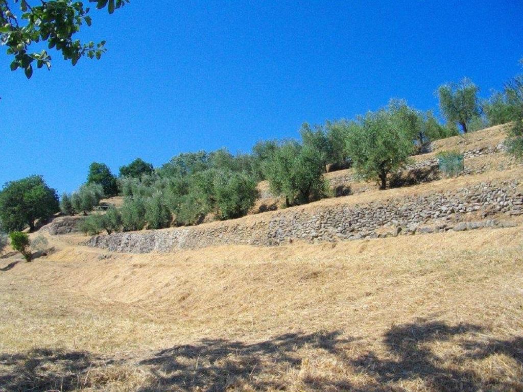 Agriturismo Terrarossa Farm stay