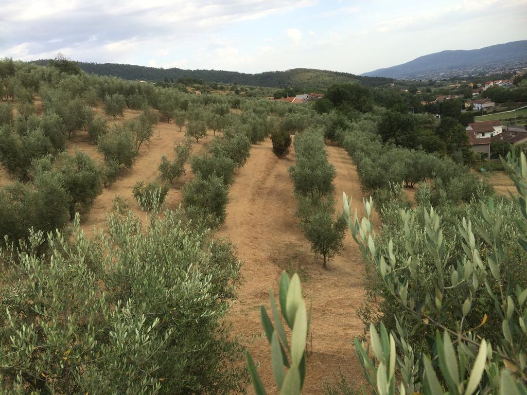 Agriturismo Terrarossa Farm stay Pistoia
