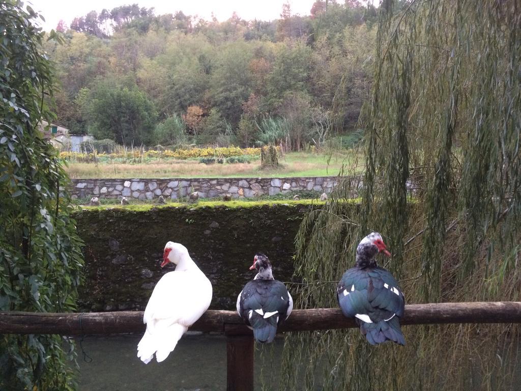Agriturismo Terrarossa Pistoia
