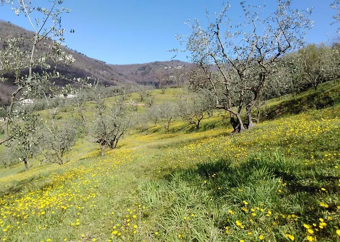 Agriturismo Terrarossa