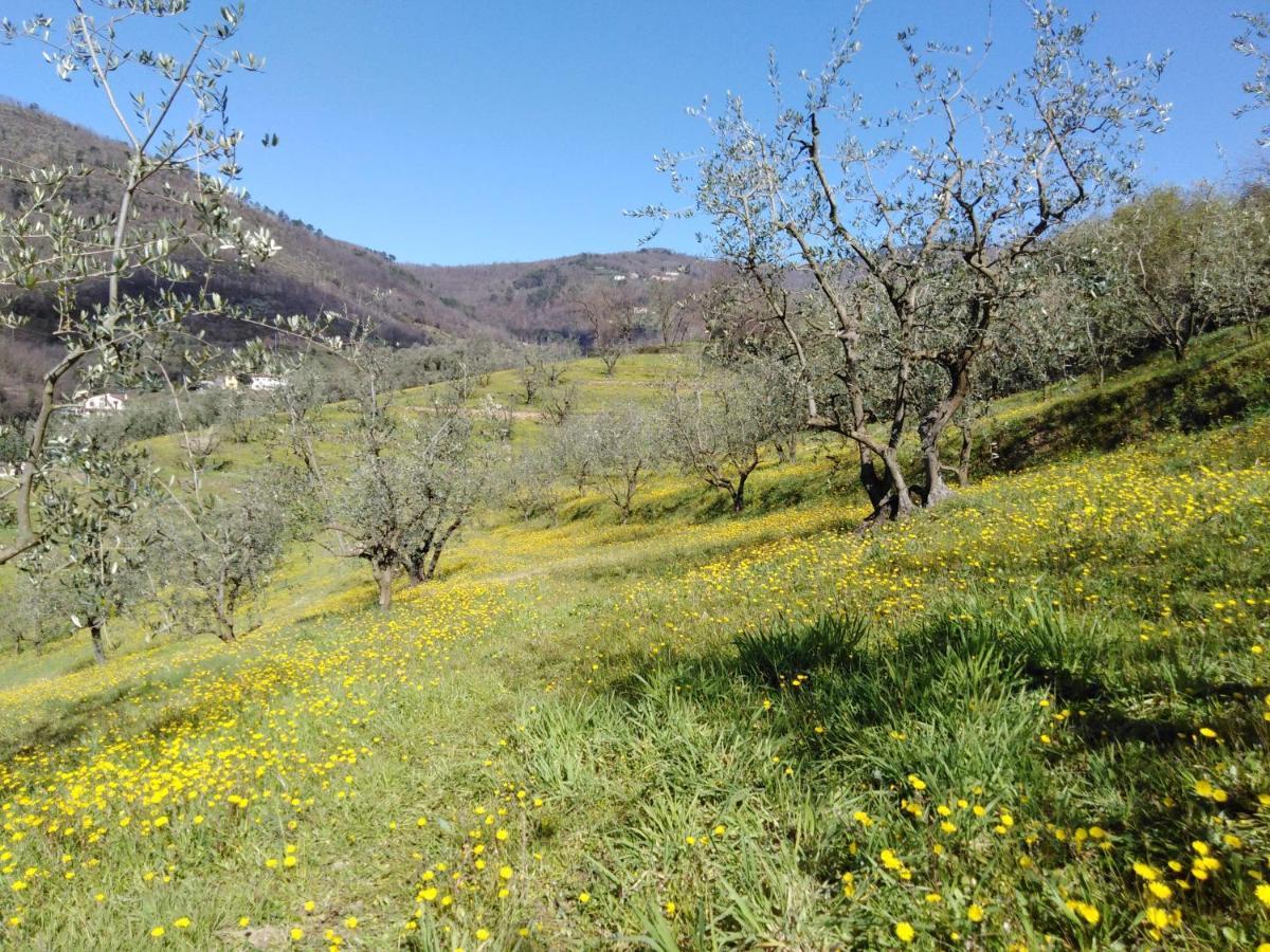 Agriturismo Terrarossa Pistoya