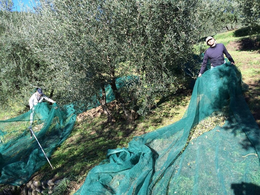 Terrarossa Agroturismo