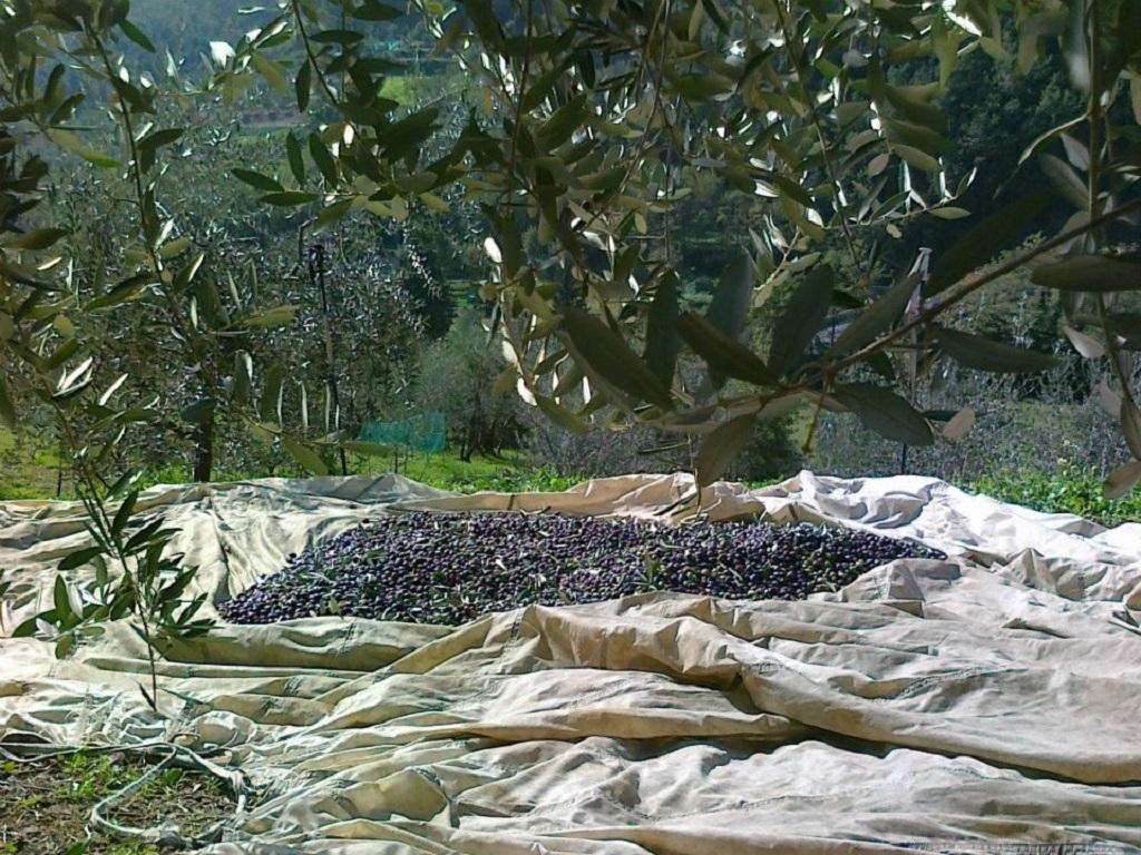 Terrarossa Agroturismo