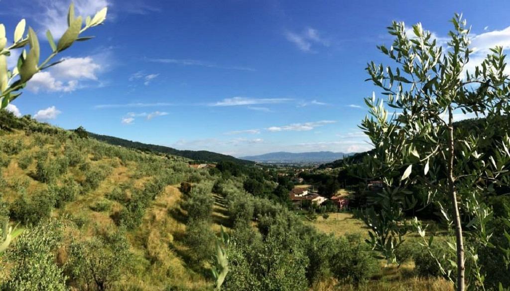Alloggio per agriturismo Terrarossa Pistoia