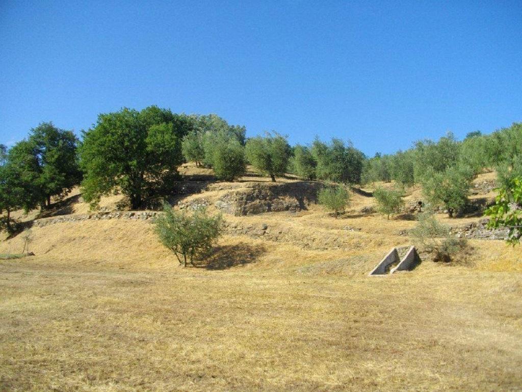 Terrarossa Pistoia